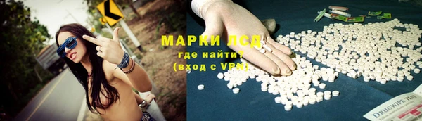 PSILOCYBIN Осинники