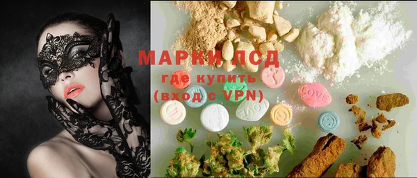 PSILOCYBIN Осинники